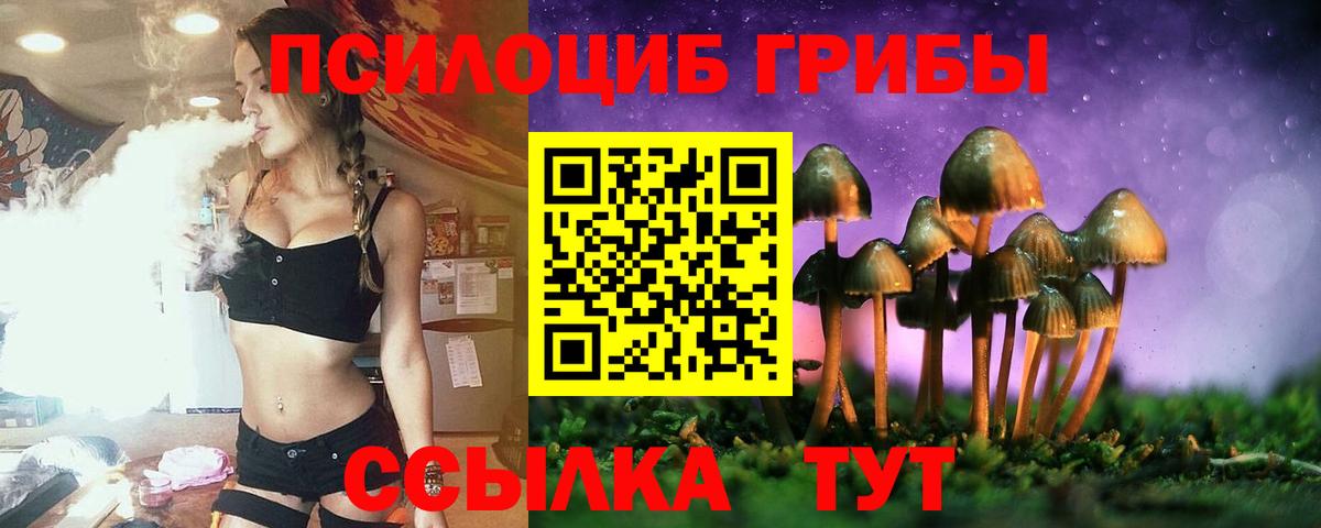 Псилоцибиновые грибы прущие грибы Ртищево