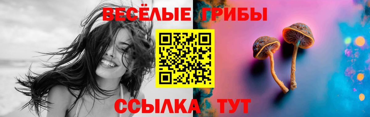 Ртищево  Галлюциногенные грибы Psilocybine cubensis  Вход с VPN  Псилоцибиновые грибы Psilocybe 